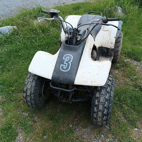 Quad Yamaha Breeze